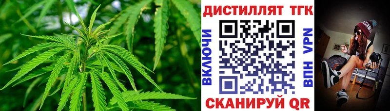 ТГК концентрат  Купить где  Казань 