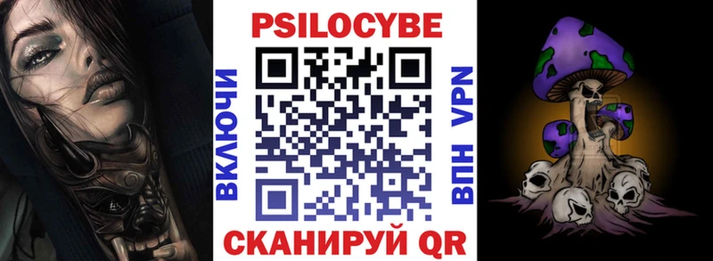 Купить  Казань  Галлюциногенные грибы Psilocybine cubensis 